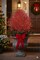 6PC 25-Inch Red Glitter Mesh Leaf, Christmas Accent, Perfect for Trees, Wreaths, Garland Displays